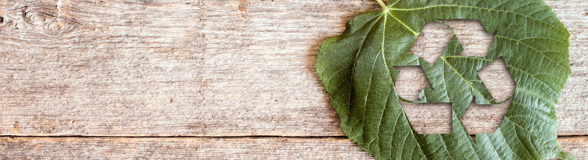 camping eco responsable marseille